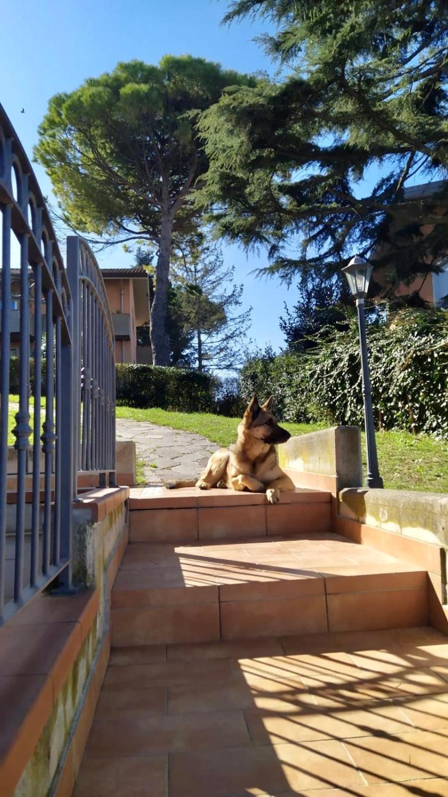 Appartamenti Pesaro Mare Ledimar Екстериор снимка